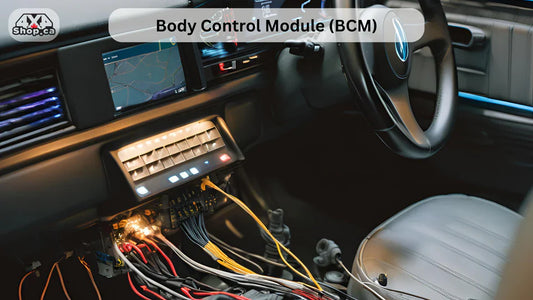 What is a Body Control Module (BCM) | Complete Guide